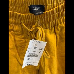 J Crew linen Cotten draw string pants